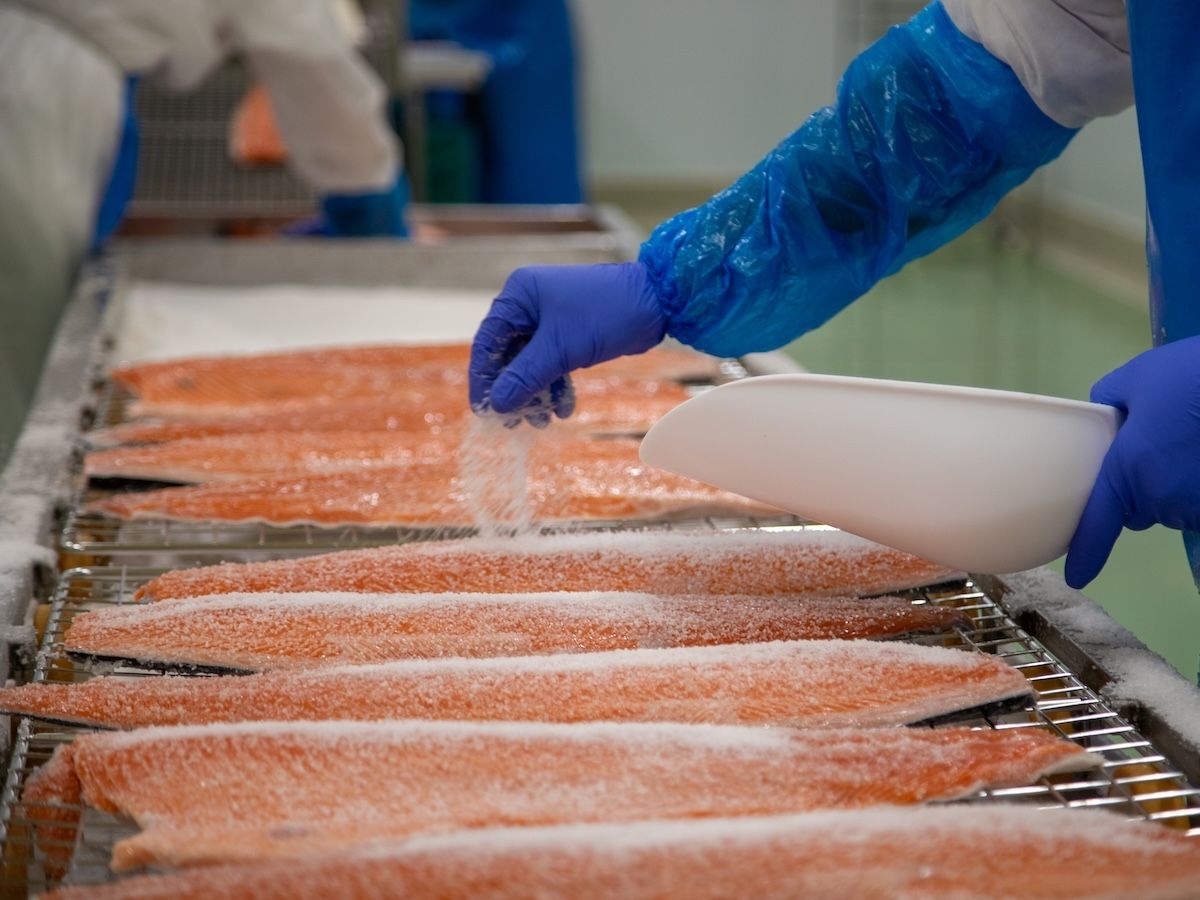 Foodlab chiude il 2024/2025 con 52 milioni di ricavi: fatturato raddoppiato in sei anni