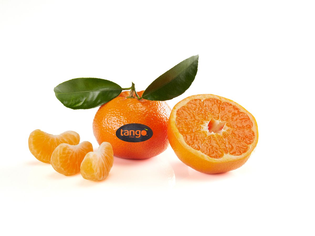Tango Fruit, al via la campagna invernale 2026 da parte di Sprefico 