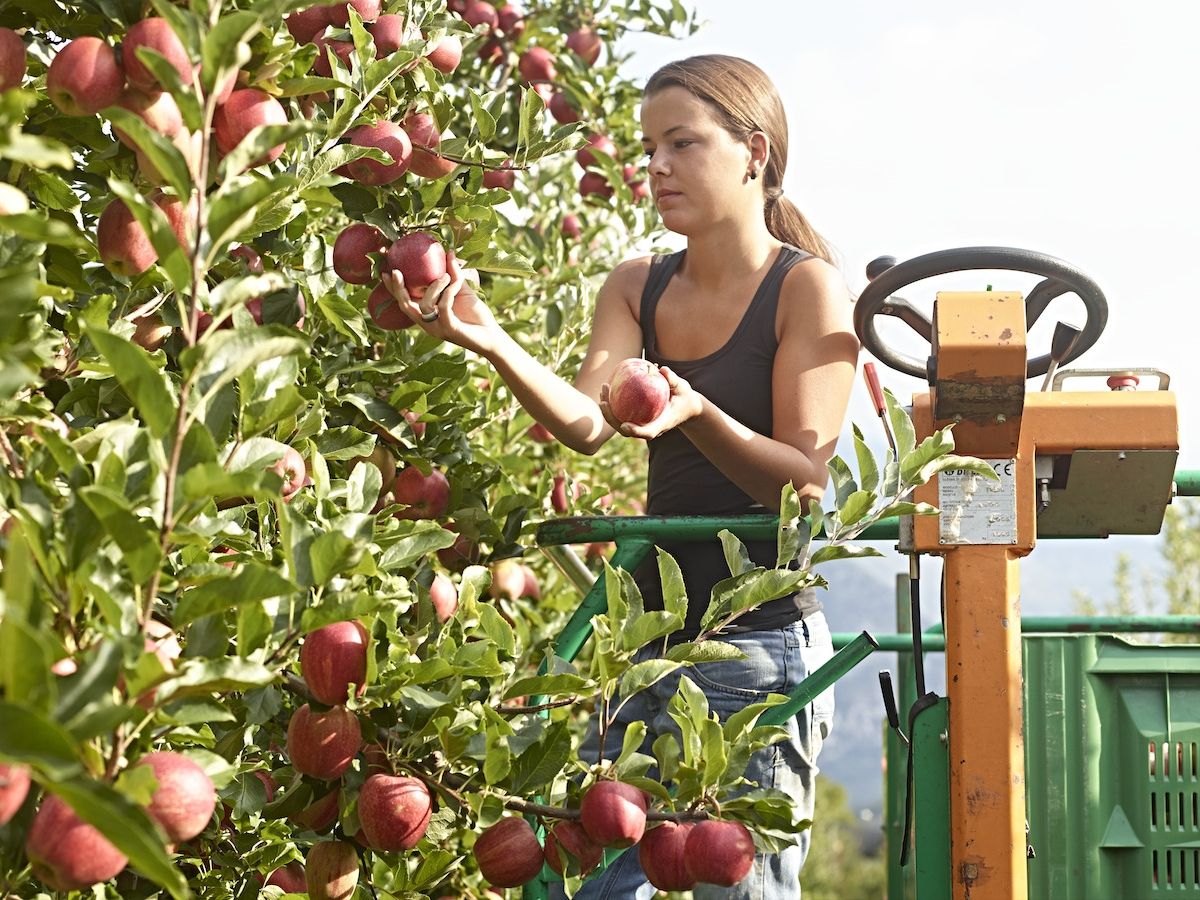 La Trentina: nel bilancio di previsione atteso il miglior risultato di sempre