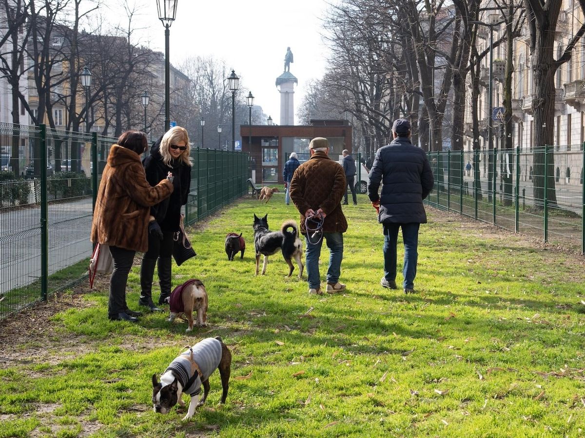Arcaplanet firma la nuova area dedicata al benessere dei cani nel cuore di Torino