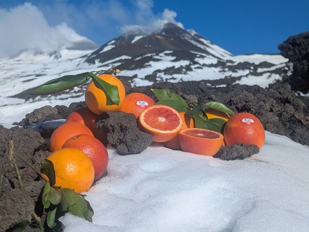 Arancia Rossa di Sicilia Igp: campagna di comunicazione dopo il ciclone Harry