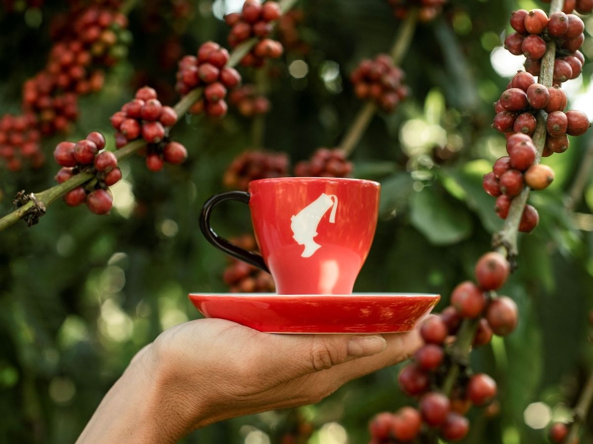 Julius Meinl raggiunge il 100% di Caffè “selezionato responsabilmente”