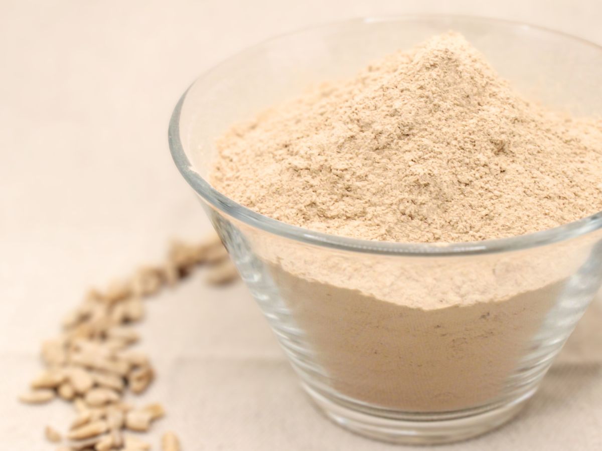  Cereal Docks: brevetto per un nuovo metodo di produzione di proteine vegetali da girasole