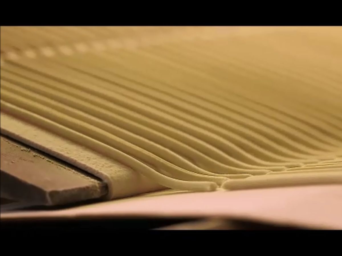 Vitavigor: innovazione e sostenibilità al centro della crescita