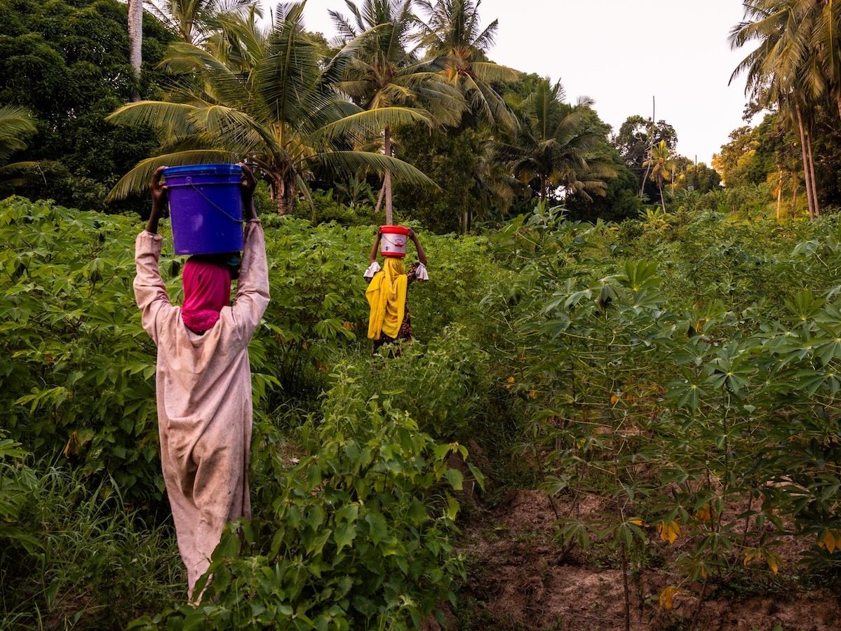 Acqua Sant’anna sostiene il progetto Lvia sull’isola di Pemba in Tanzania