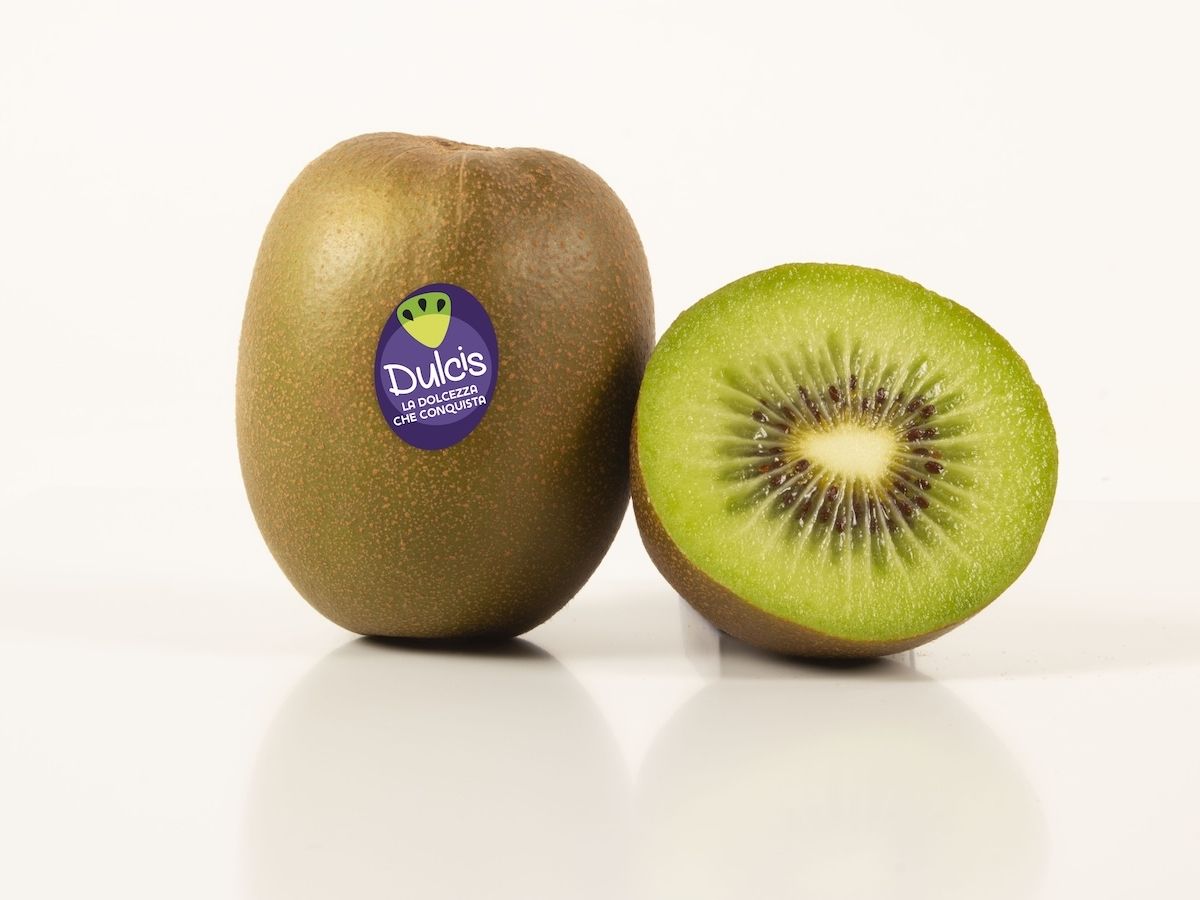 Dulcis chiude la stagione oltre le attese e accelera lo sviluppo internazionale