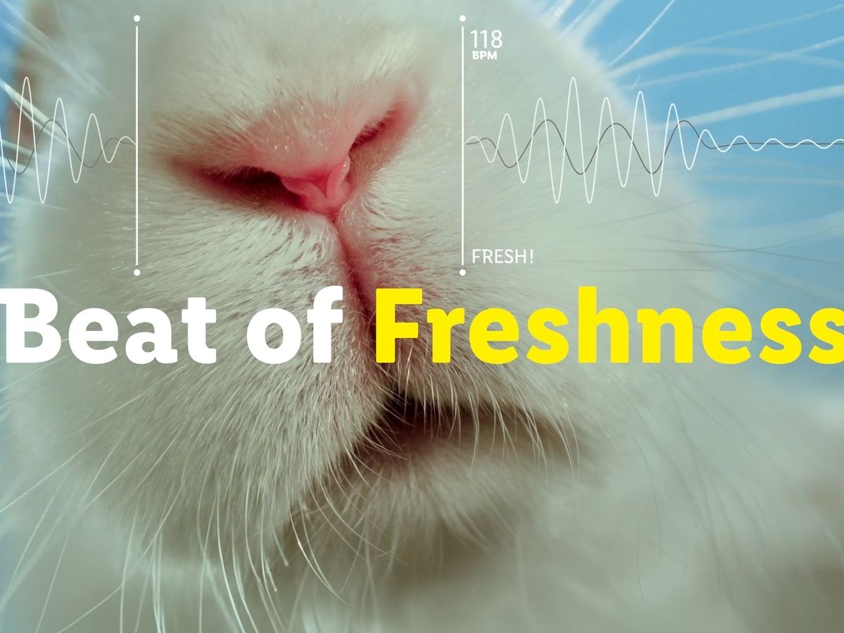 Lidl con la campagna social “The beat of freshness” conferma la freschezza di frutta e verdura