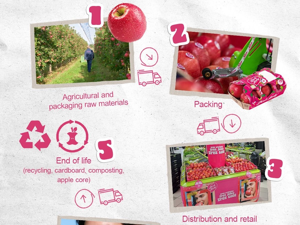 Pink Lady Europe presenta i risultati della valutazione Lca della propria filiera