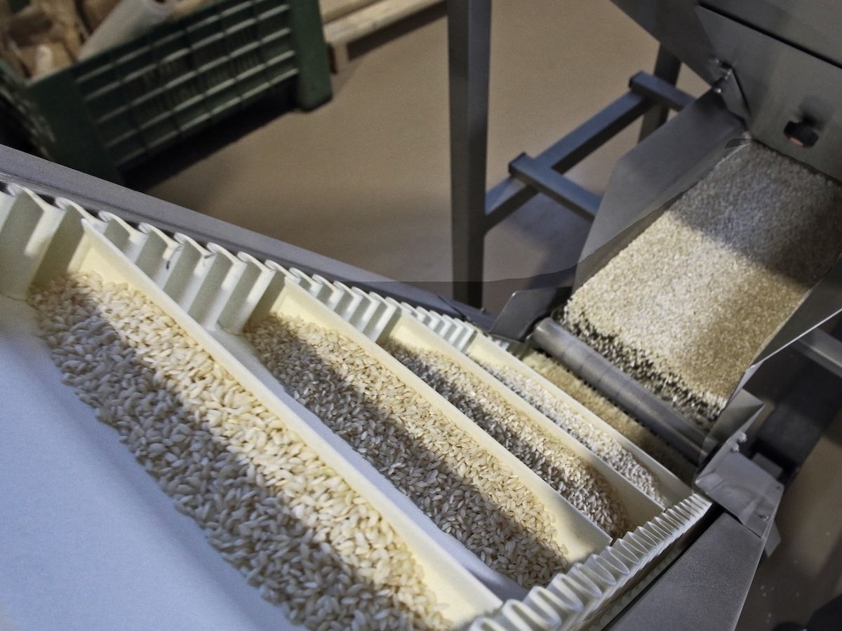 "Lomellina terra di riso” debutta sul mercato con sette varietà