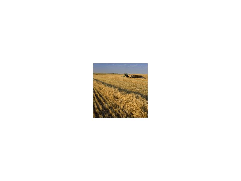 Agricoltura Agricoltura