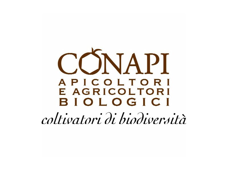 Conapi