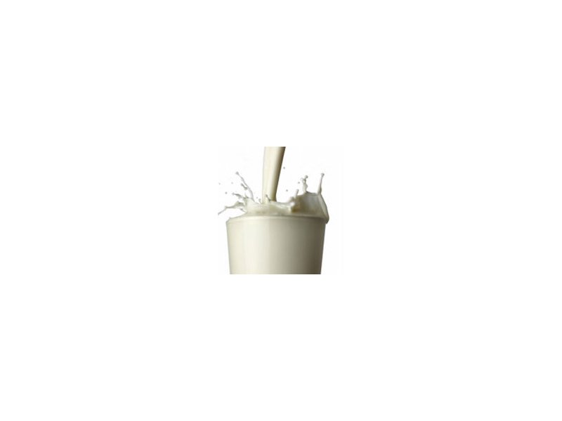 Latte Latte