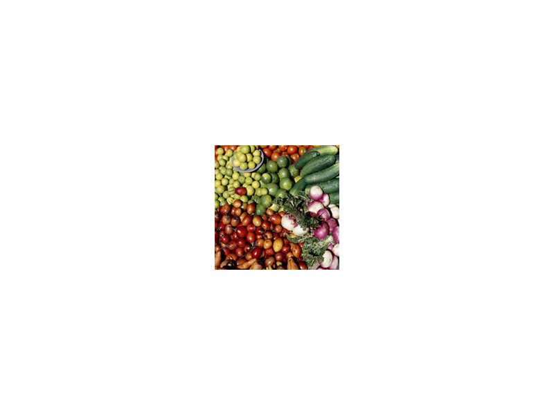 Nuova iniziativa di promozione dell’agroalimentare - Distribuzione Moderna Nuova iniziativa di promozione dell’agroalimentare - Distribuzione Moderna