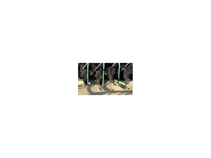 Approvate nuove regole per i mangimi animali Approvate nuove regole per i mangimi animali