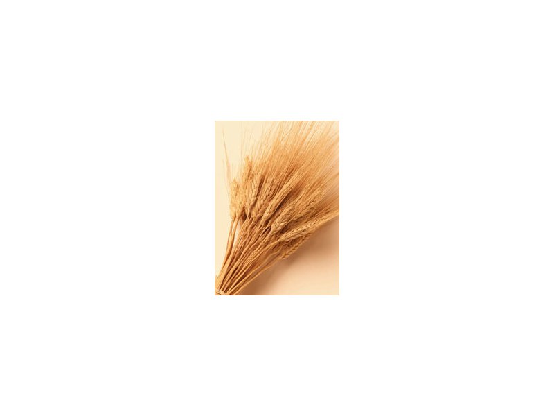 Cambiamenti in vista per gli alimenti gluten-free Cambiamenti in vista per gli alimenti gluten-free