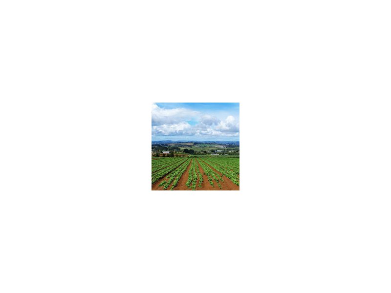 L’Ue in aiuto delle zone agricole da riclassificare - Distribuzione Moderna L’Ue in aiuto delle zone agricole da riclassificare - Distribuzione Moderna