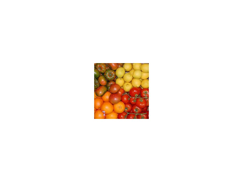 Nuova forza all’ortofrutta Nuova forza all’ortofrutta