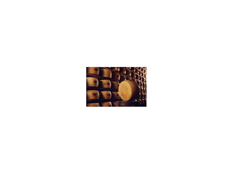 Parmigiano-Reggiano, strategie contro la crisi - Distribuzione Moderna Parmigiano-Reggiano, strategie contro la crisi - Distribuzione Moderna