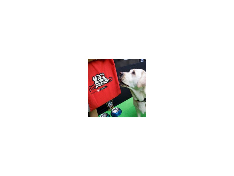Purina - Distribuzione Moderna