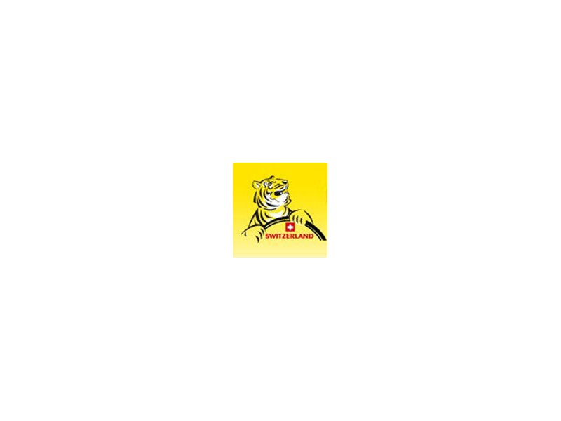 Tigre - Distribuzione Moderna Tigre - Distribuzione Moderna
