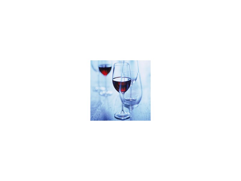 Vino Vino