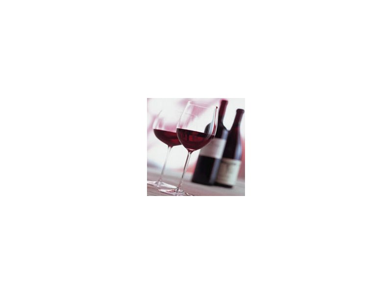 Vino Vino