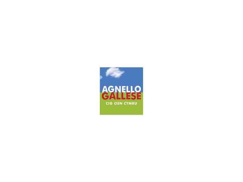 Agnello gallese