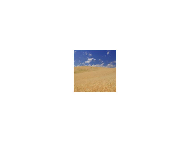 Agricoltura Agricoltura