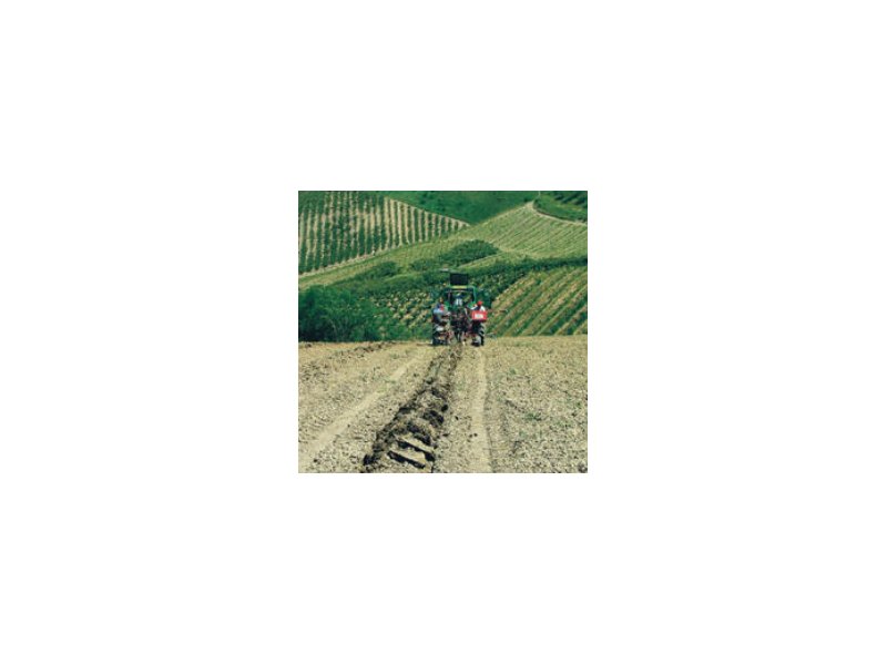 Agricoltura Agricoltura