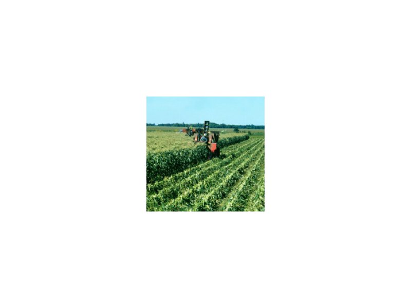 Agroalimentare - Distribuzione Moderna