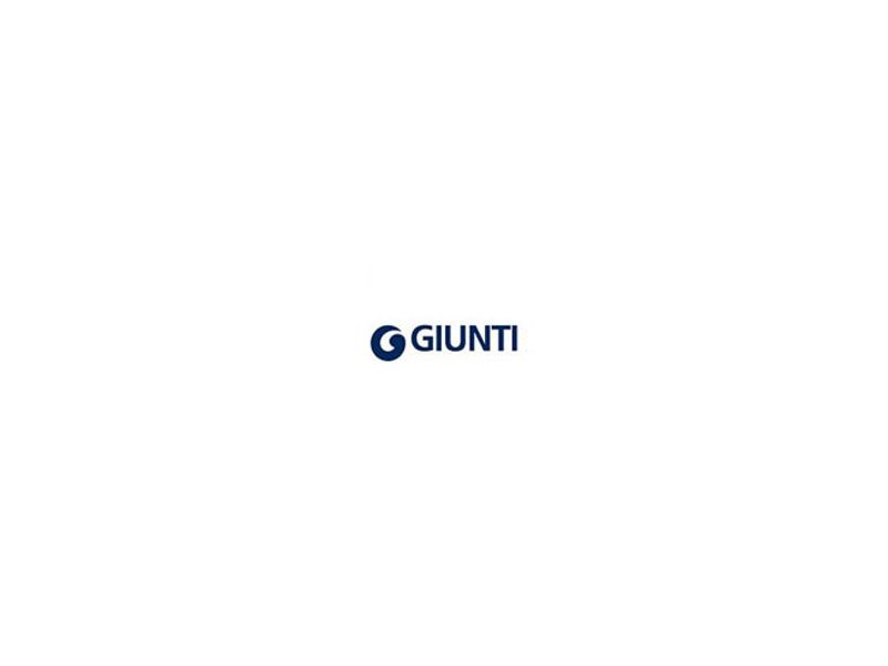 Giunti Giunti