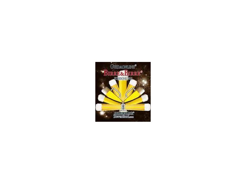 Guidaonline® Birre&Birre 2010 Guidaonline® Birre&Birre 2010
