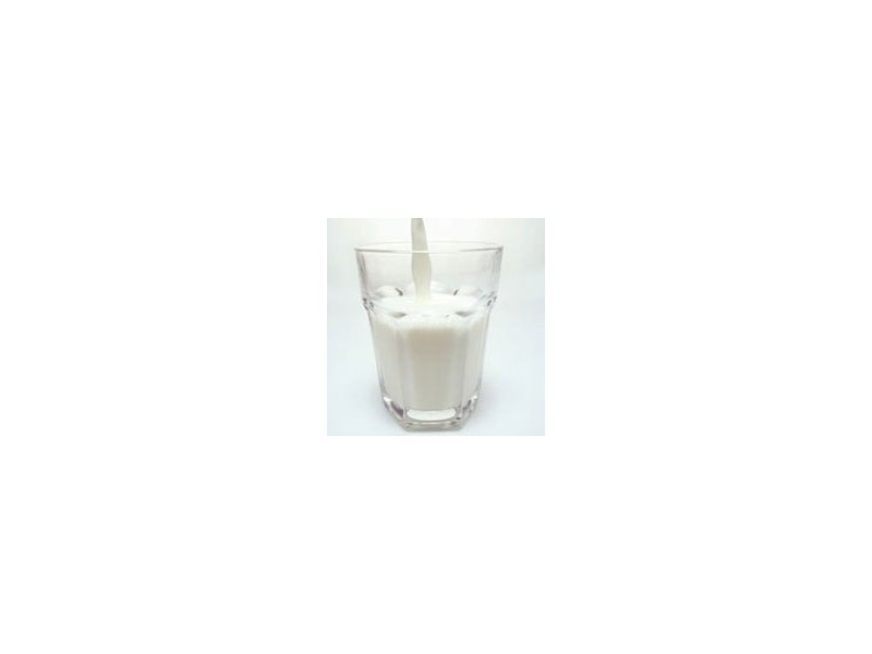 Latte Latte