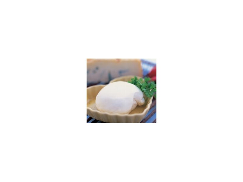 Mozzarella - Distribuzione Moderna