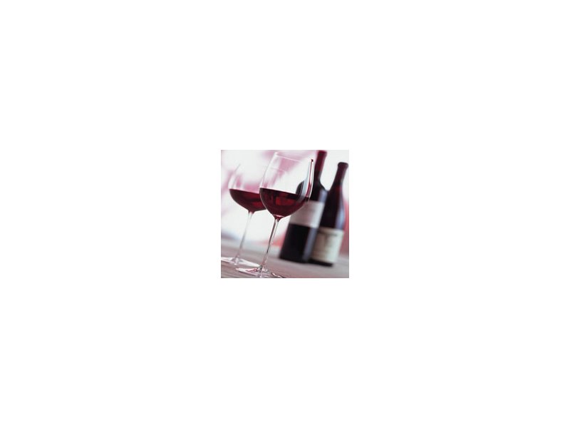 Vino Vino