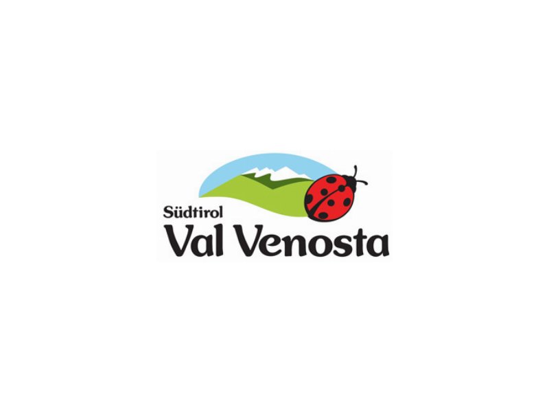 Buone le previsioni per il 2011 di ValVenosta