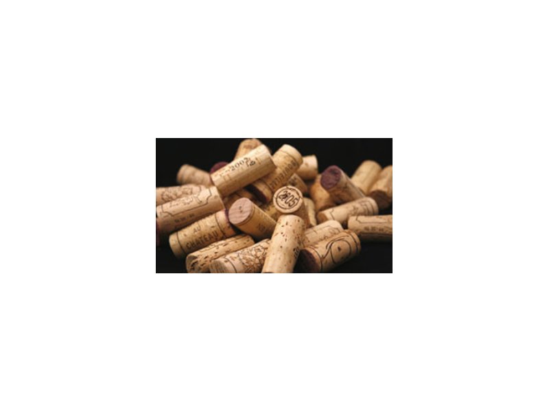 Chianti aiuta l'ambiente con i tappi di sughero - Distribuzione Moderna