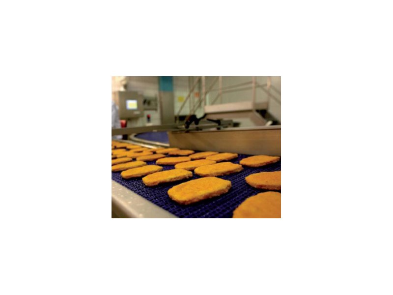 Findus aumenta gli investimenti in Francia Findus aumenta gli investimenti in Francia