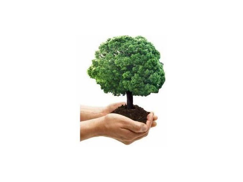 Kimberly-Clark dalla parte dell’ambiente Kimberly-Clark dalla parte dell’ambiente