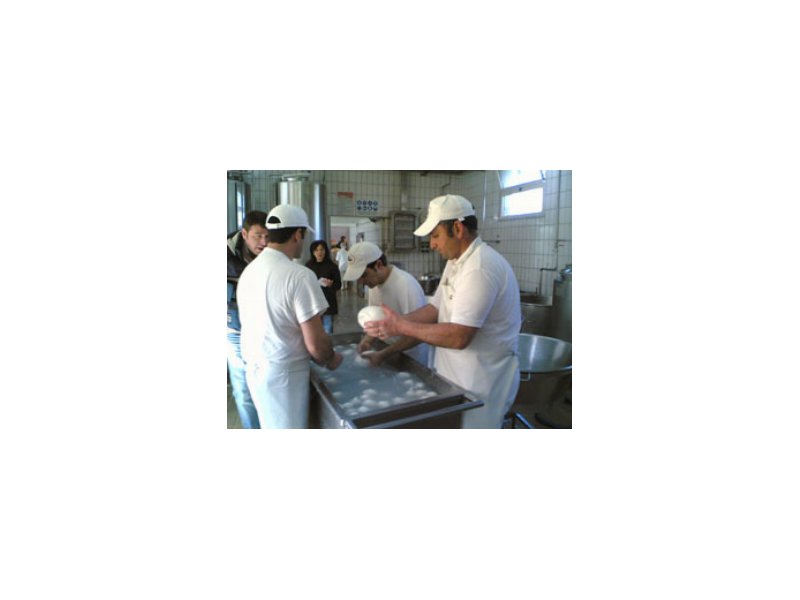 La mozzarella di bufala approda a Prodexpo - Distribuzione Moderna La mozzarella di bufala approda a Prodexpo - Distribuzione Moderna