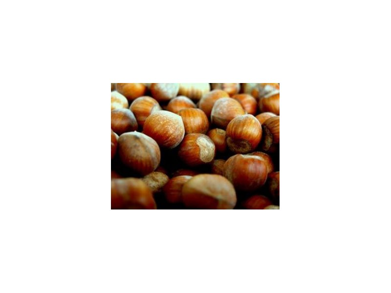 Nasce la Consulta Nazionale Fedagri Frutta in Guscio