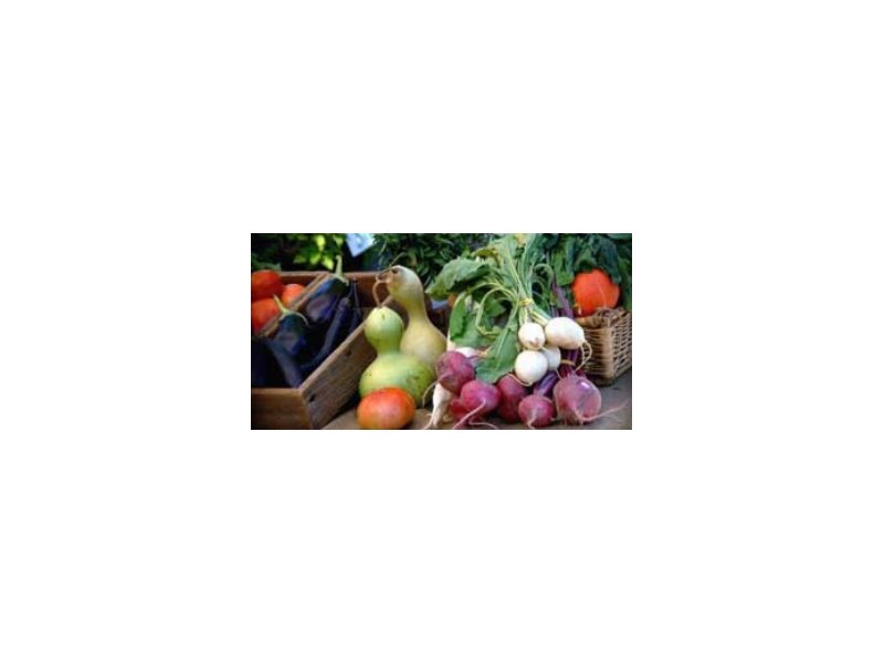 Nasce la prima catena di vendita diretta degli agricoltori Nasce la prima catena di vendita diretta degli agricoltori
