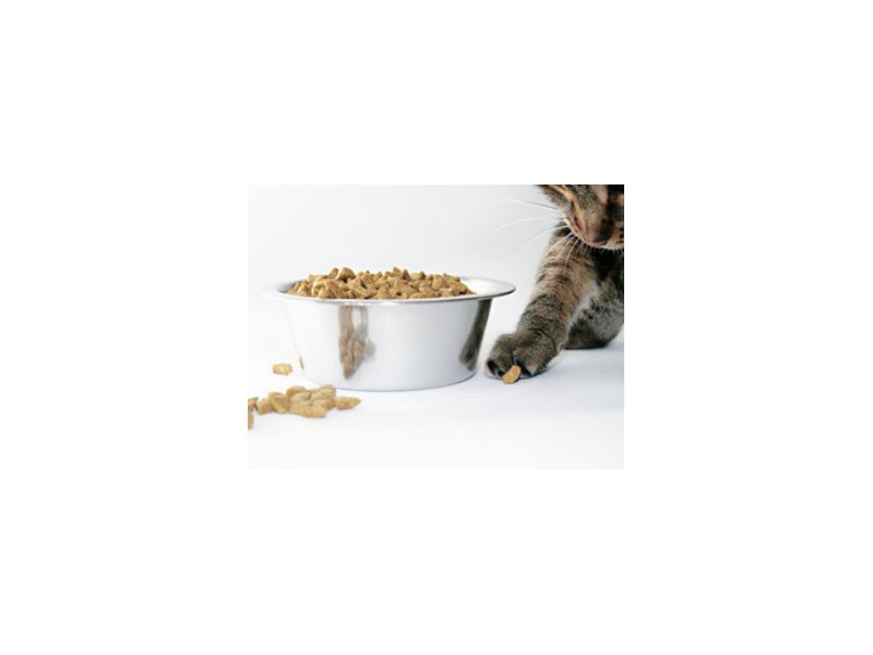 Petfood: quanto pesa la marca commerciale Petfood: quanto pesa la marca commerciale