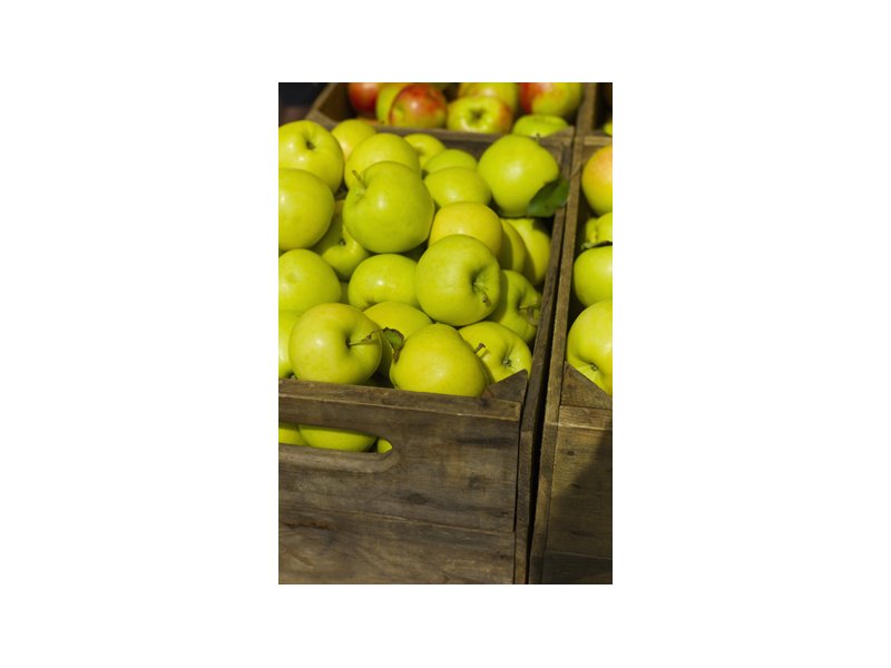 Piazza Italia si rinnova a Fruit Logistica Piazza Italia si rinnova a Fruit Logistica