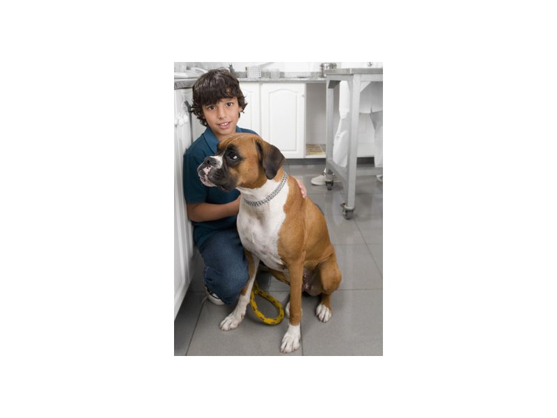 Purina One ripropone "Un nutrizionista al tuo fianco" - Distribuzione Moderna Purina One ripropone "Un nutrizionista al tuo fianco" - Distribuzione Moderna