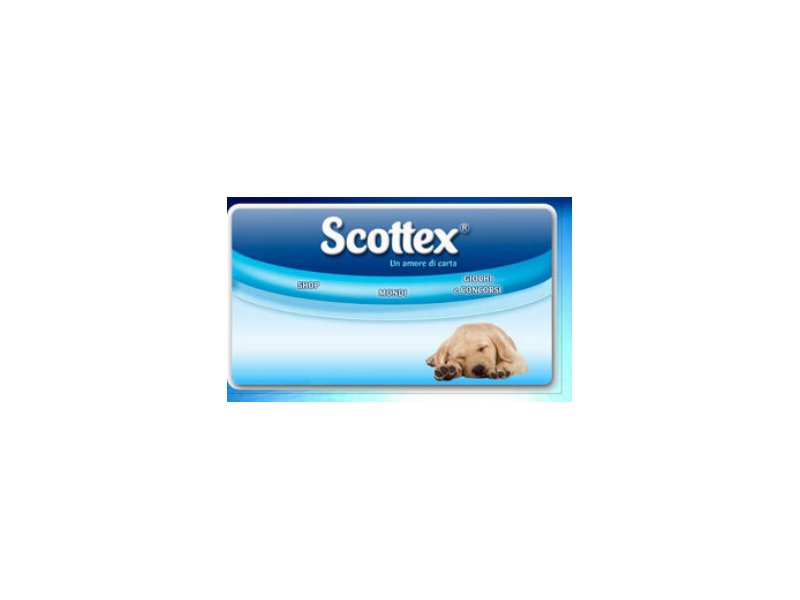 Scottex intensifica la sua presenza nel web Scottex intensifica la sua presenza nel web
