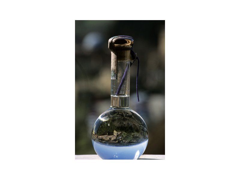 Si terrà in maggio il Forum Aquavitae Si terrà in maggio il Forum Aquavitae