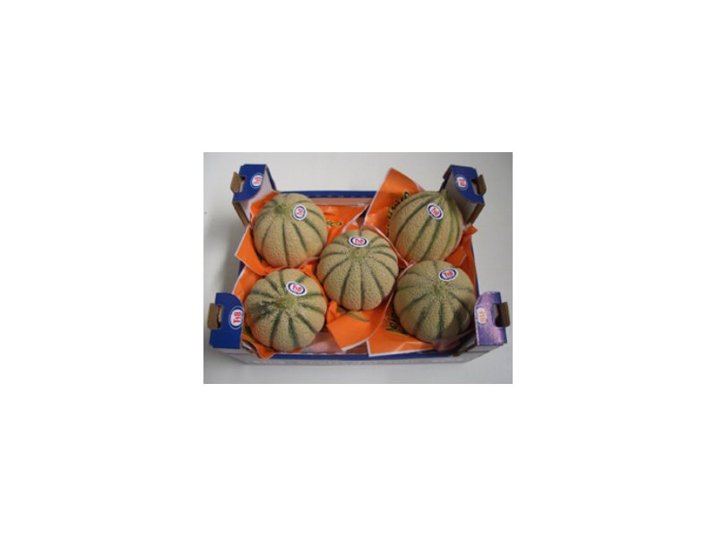T18 lancia sul mercato il melone mantovano - Distribuzione Moderna T18 lancia sul mercato il melone mantovano - Distribuzione Moderna