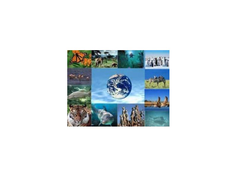 Unilever Italia sostiene la ricerca sulla biodiversità Unilever Italia sostiene la ricerca sulla biodiversità