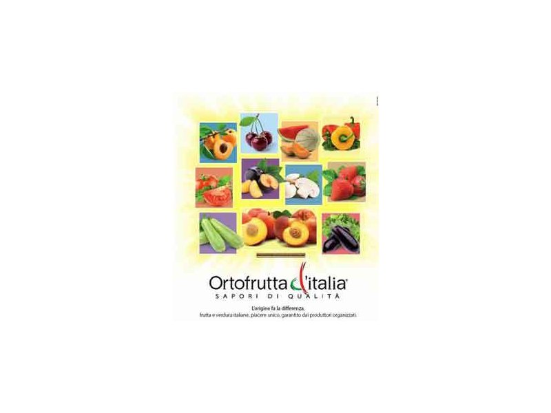 A settembre l’ortofrutta italiana viaggia con il CSO A settembre l’ortofrutta italiana viaggia con il CSO
